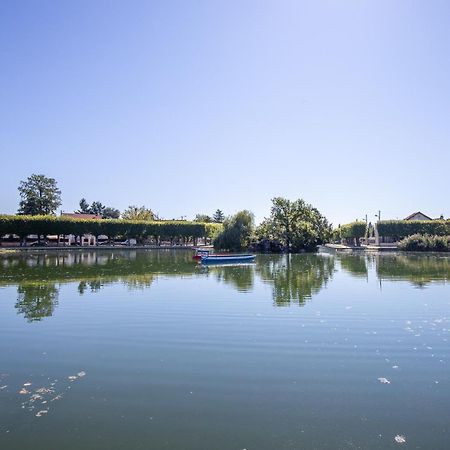 Appartement Cosy ,Wifi ,Gare "Le Refuge Du Lac" Vigneux-sur-Seine Εξωτερικό φωτογραφία