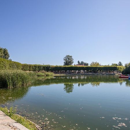 Appartement Cosy ,Wifi ,Gare "Le Refuge Du Lac" Vigneux-sur-Seine Εξωτερικό φωτογραφία